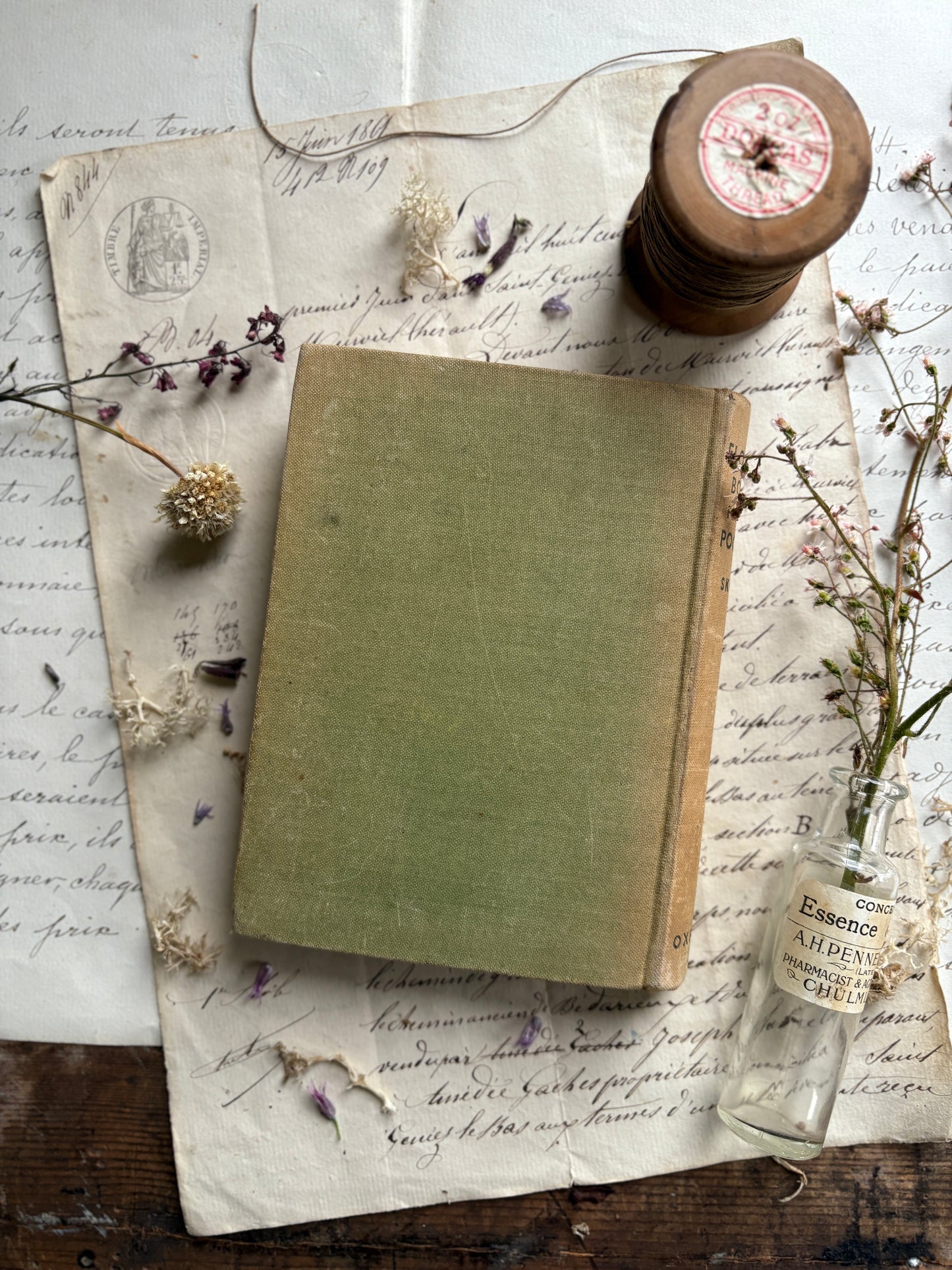 A Flower Book for the Pocket by Skene