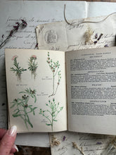 Load image into Gallery viewer, A Flower Book for the Pocket by Skene