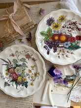Load image into Gallery viewer, Vintage Copeland Spode Plates
