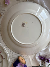 Load image into Gallery viewer, Vintage Copeland Spode Plates