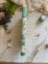 Load image into Gallery viewer, Evergreen Garden Trees and Shrubs by Anthony Huxley – Vintage Gardening Book