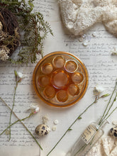 Load image into Gallery viewer, Vintage Glass Flower Frog