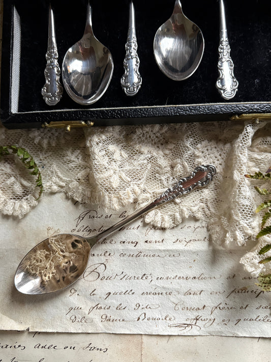 Vintage Decorative Teaspoon Set – Boxed Set of Six