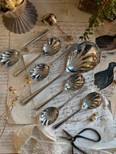 Load image into Gallery viewer, Boxed Set of Vintage Shell-Shaped Sugar Spoons
