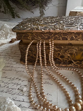 Load image into Gallery viewer, Decorative Raised-Relief Hinged Box