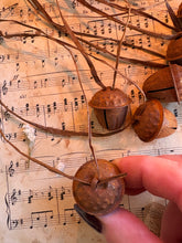 Load image into Gallery viewer, Small Cow Bells Rustic Stars and Rustic Acorns