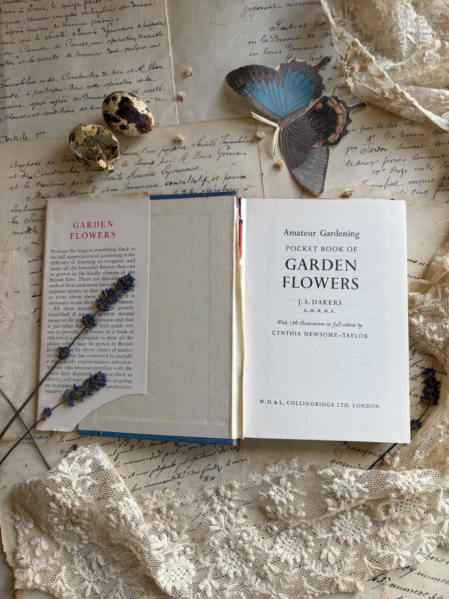 Pocket Book of Garden Flowers