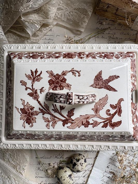 Antique T&R Boote Ironstone Tureen