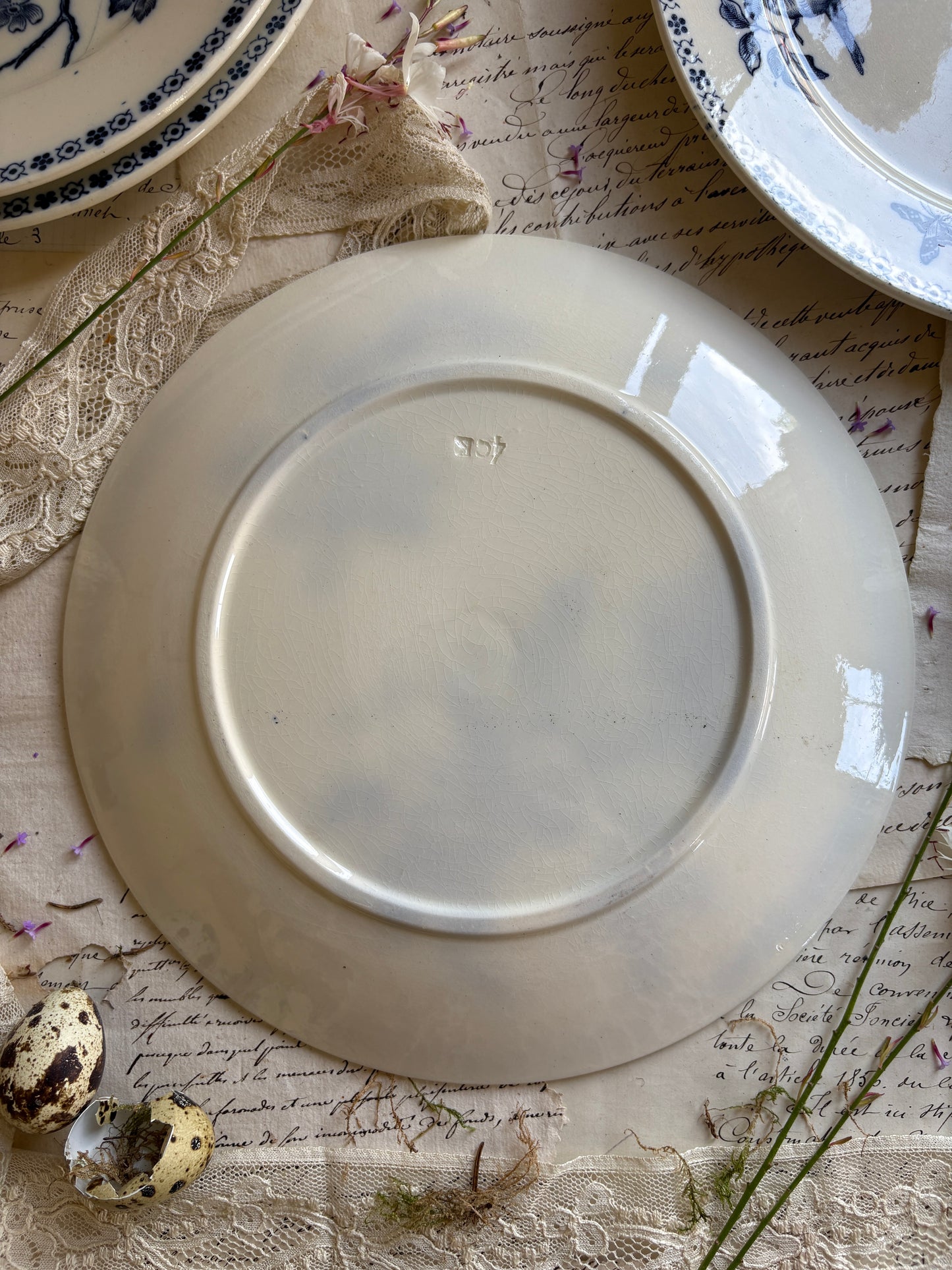 Set of Six Antique French Ironestone plates "Chanteurs" Blue Bird Decor