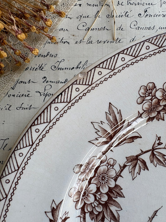 Antique Victorian T.G. Booth "Hawthorn" Brown Transferware Ironstone Platter
