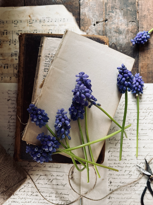bluebells laid across a vintage book