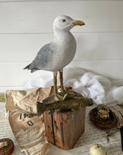 Load image into Gallery viewer, Hand Painted Seagull
