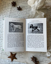 Load image into Gallery viewer, Three Vintage Observer Books
