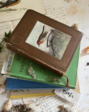 Load image into Gallery viewer, selection vintage bird &amp; flower books
