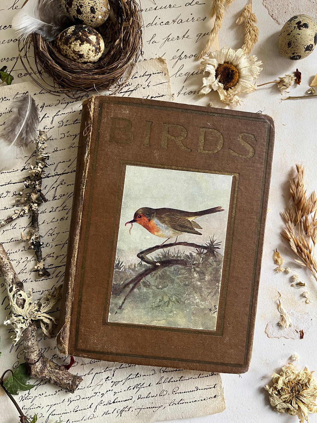 Selection Vintage Bird & Flower Books
