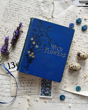 Load image into Gallery viewer, Wild Flowers Volume 11 Anne Pratt
