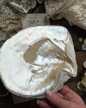 Load image into Gallery viewer, Mother of Pearl Shell Dish
