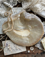 Load image into Gallery viewer, Mother of Pearl Shell Dish
