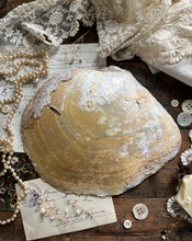 Load image into Gallery viewer, Mother of Pearl Shell Dish
