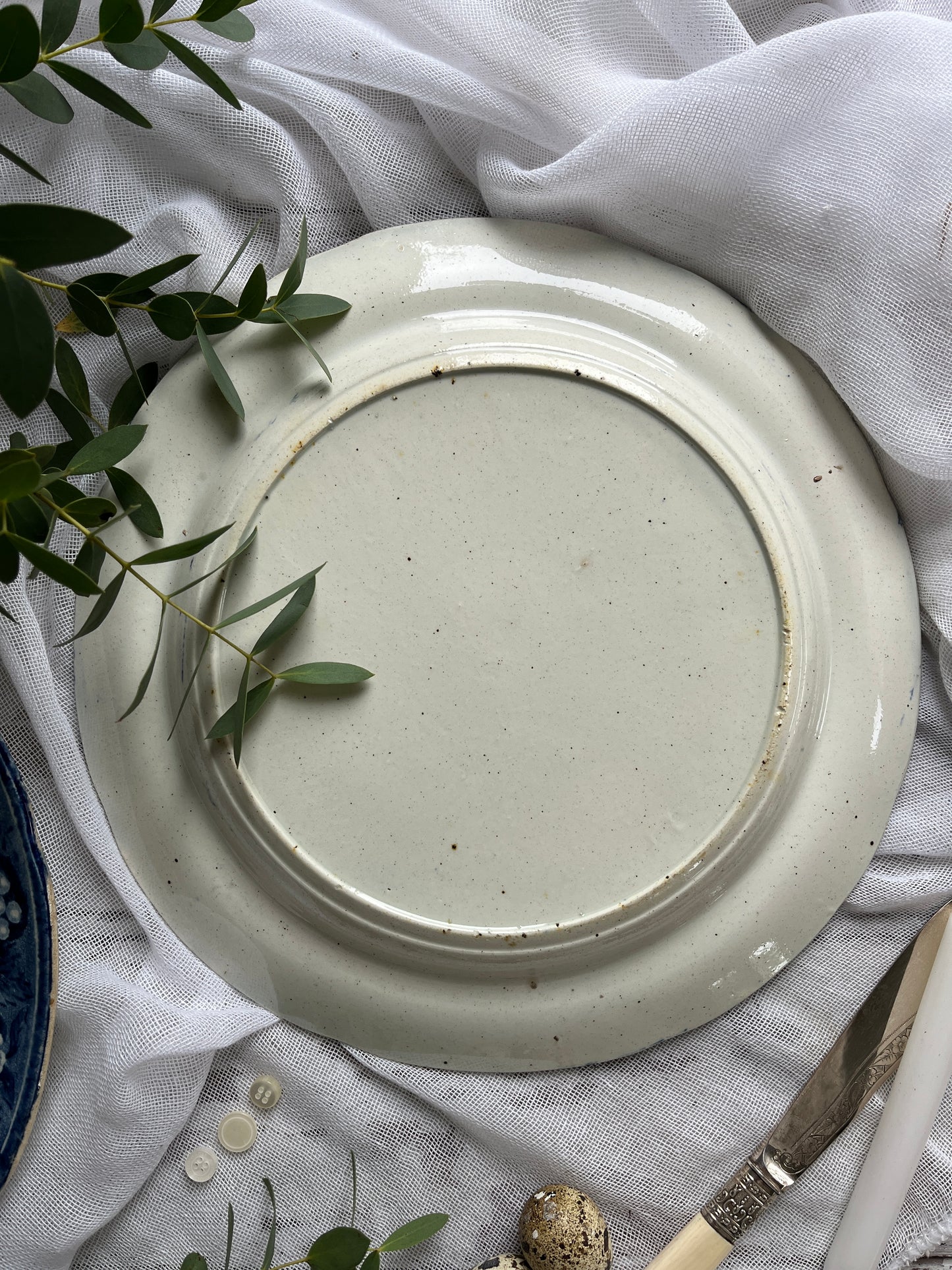 Early Staffordshire Antique Plates