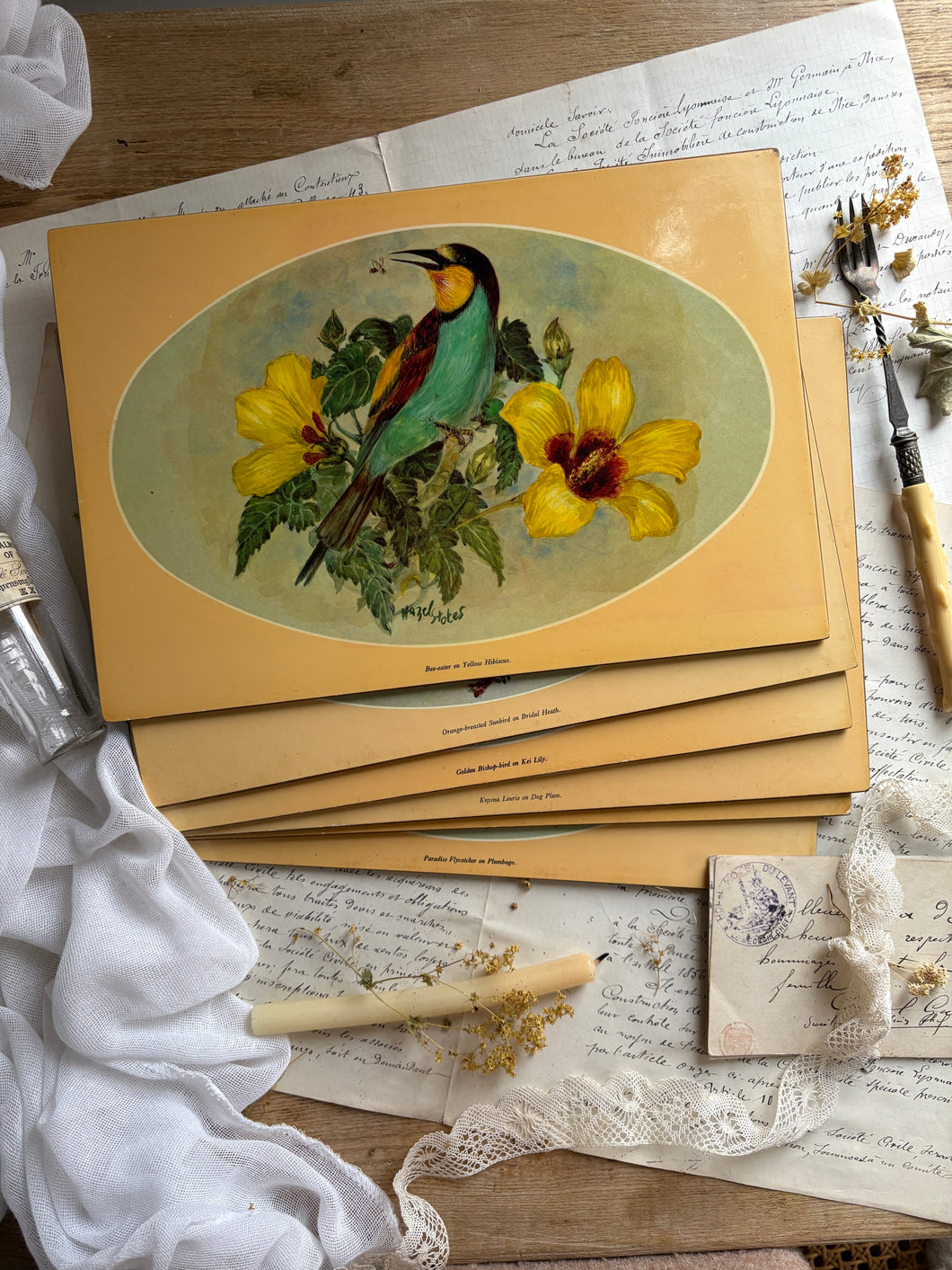 Tropical Bird Vintage Placemats