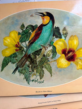 Load image into Gallery viewer, Tropical Bird Vintage Placemats
