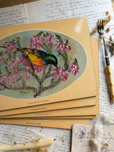 Load image into Gallery viewer, Tropical Bird Vintage Placemats
