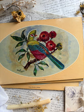 Load image into Gallery viewer, Tropical Bird Vintage Placemats
