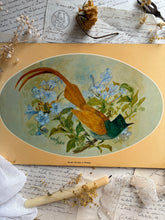 Load image into Gallery viewer, Tropical Bird Vintage Placemats
