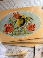 Load image into Gallery viewer, Tropical Bird Vintage Placemats
