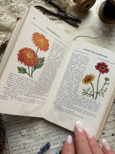 Load image into Gallery viewer, Selection Of Observer Pocket Books
