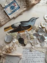 Load image into Gallery viewer, Vintage Buttons and French Lace
