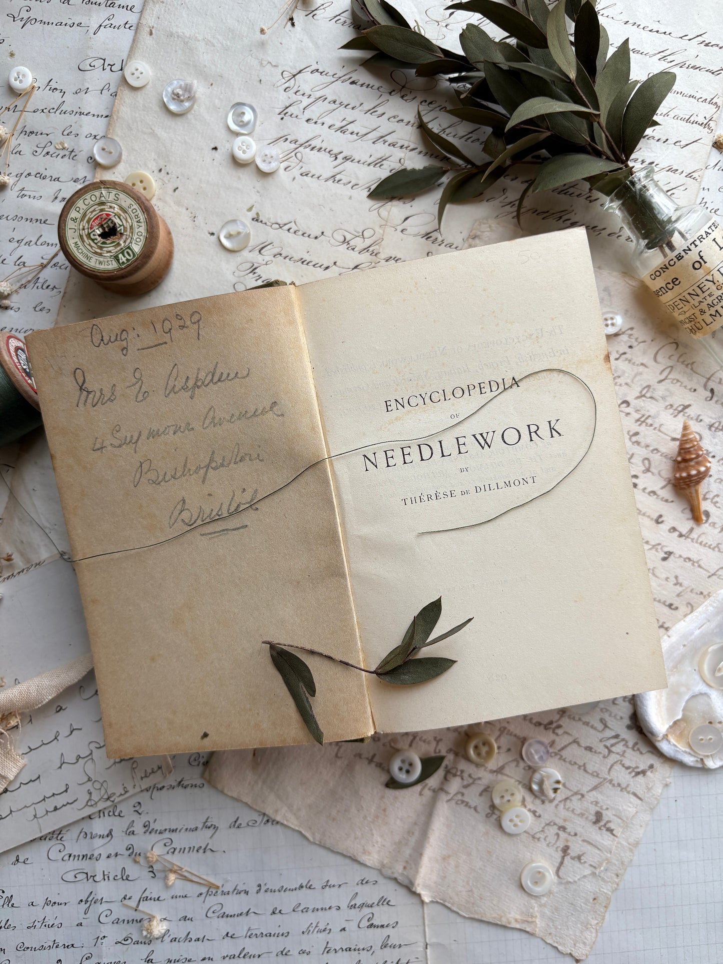 Encyclopedia of Needlework by TH.DE Dillmont