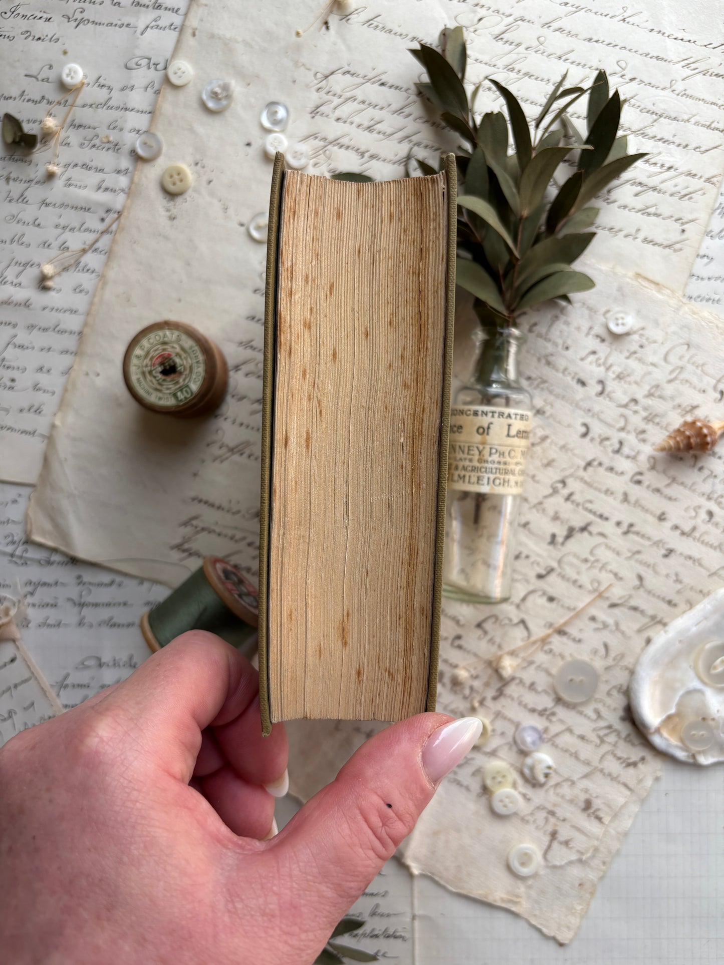 Encyclopedia of Needlework by TH.DE Dillmont
