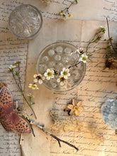 Load image into Gallery viewer, Vintage Glass Flower Frog
