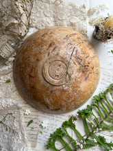 Load image into Gallery viewer, Hand Carved Decorative Bowl
