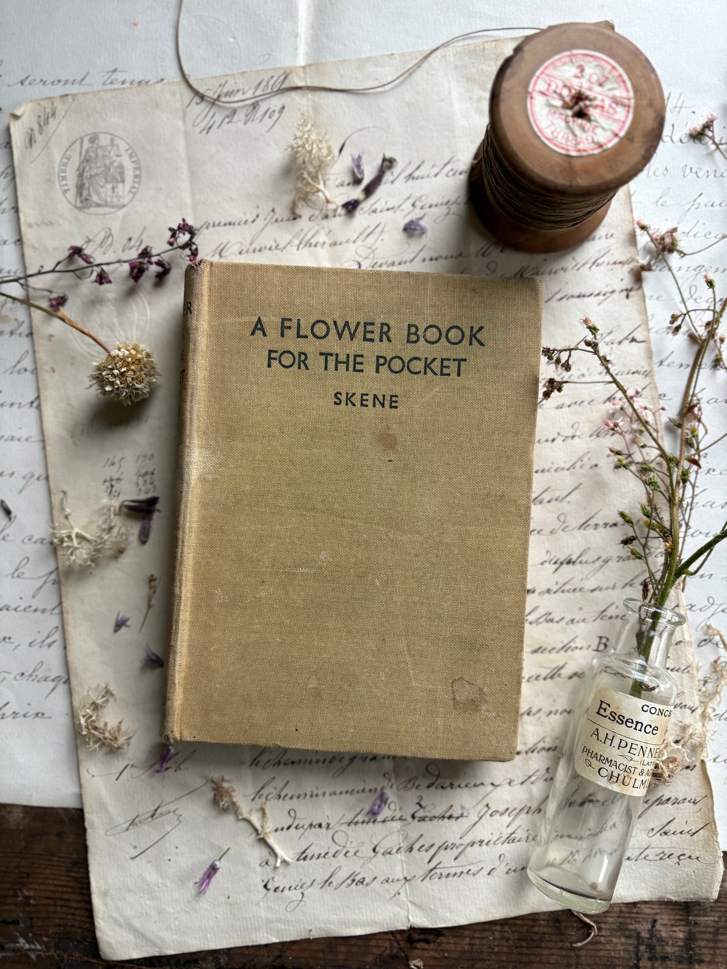 A Flower Book for the Pocket by Skene
