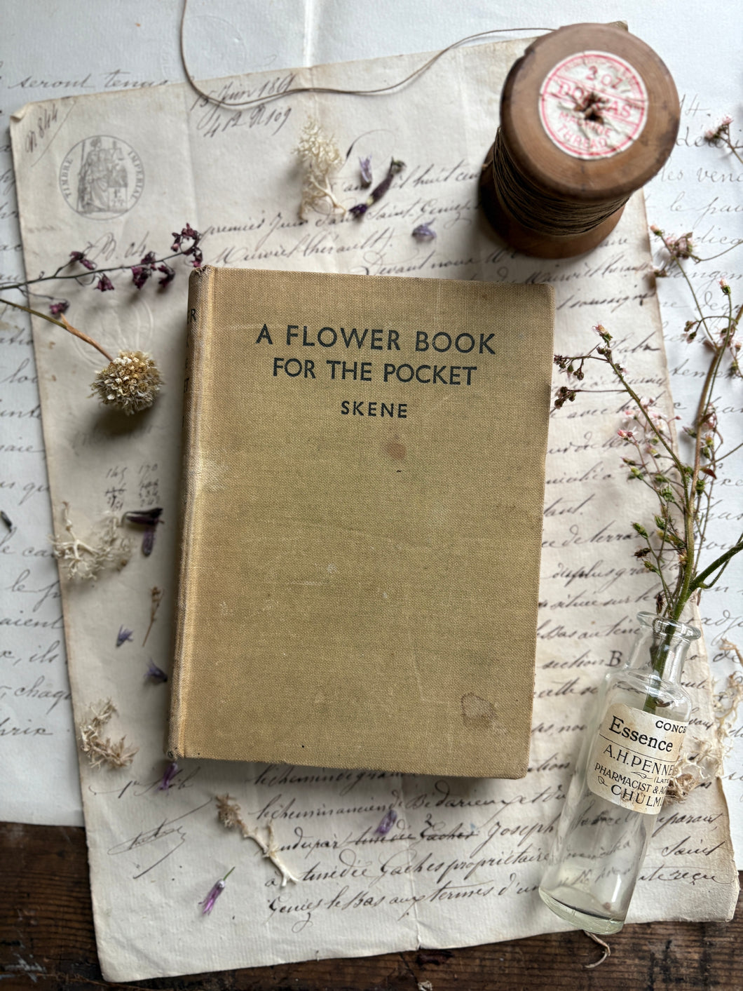 A Flower Book for the Pocket by Skene