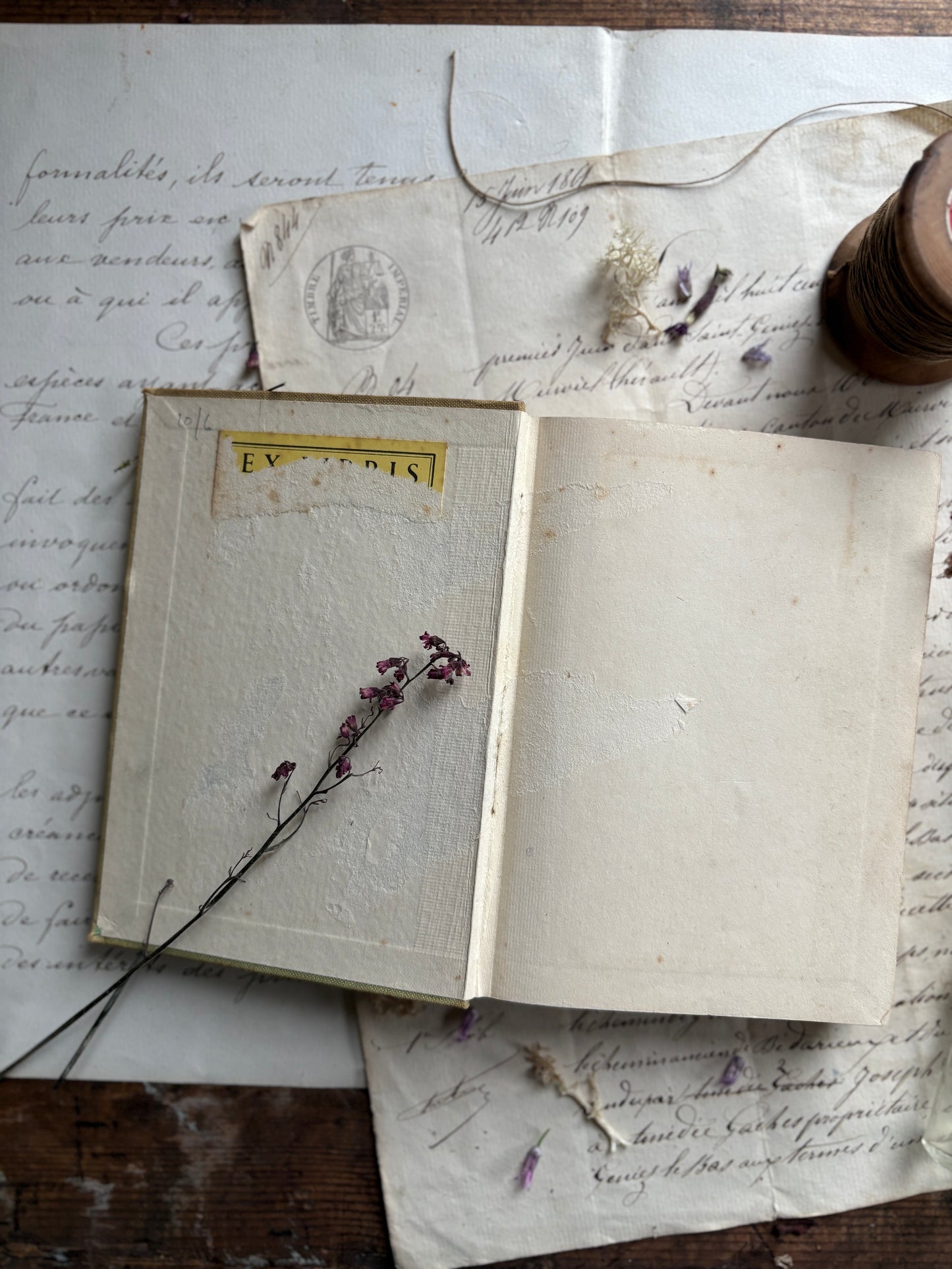 A Flower Book for the Pocket by Skene
