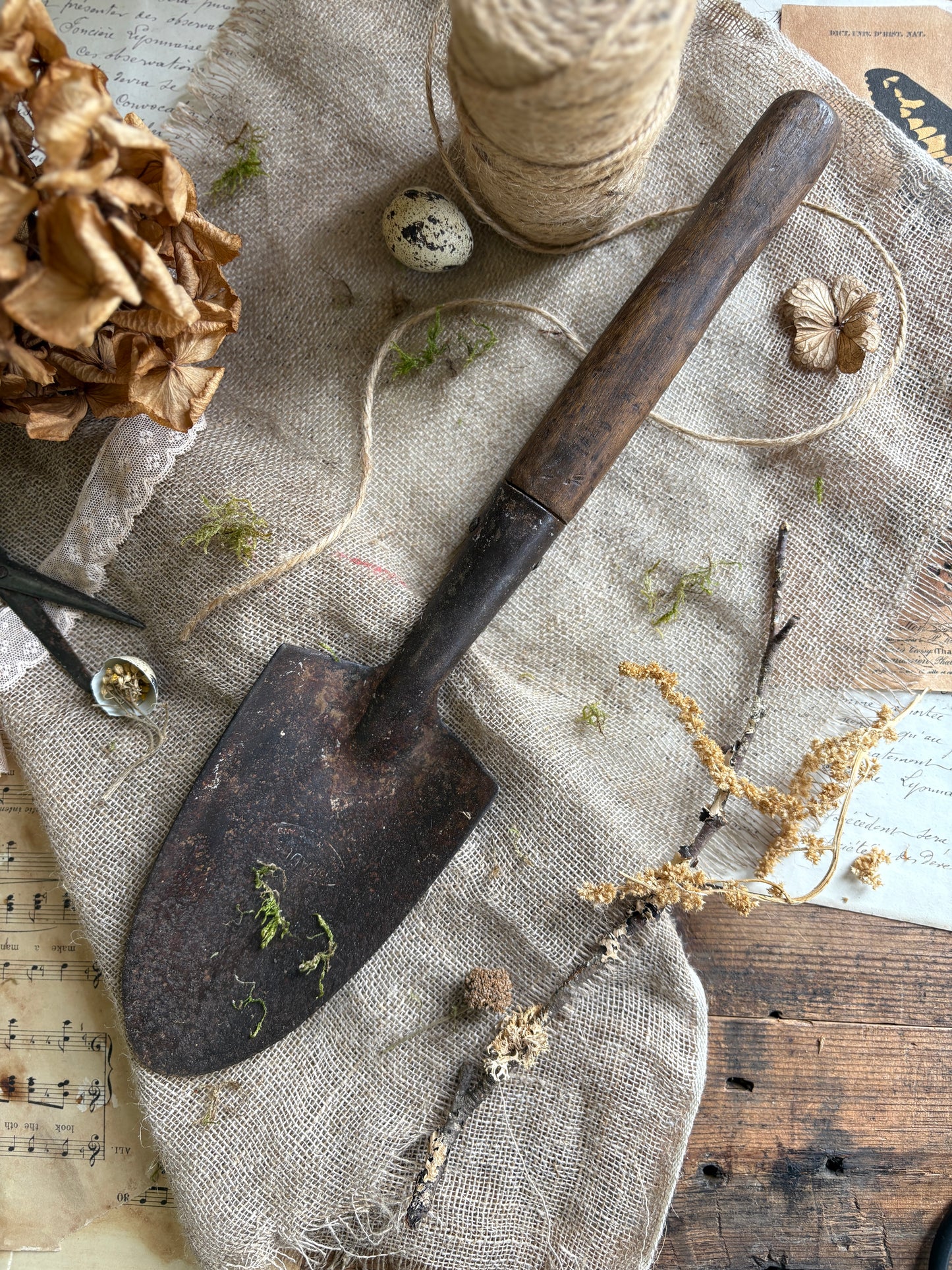 Selection Of Rustic Garden Tools