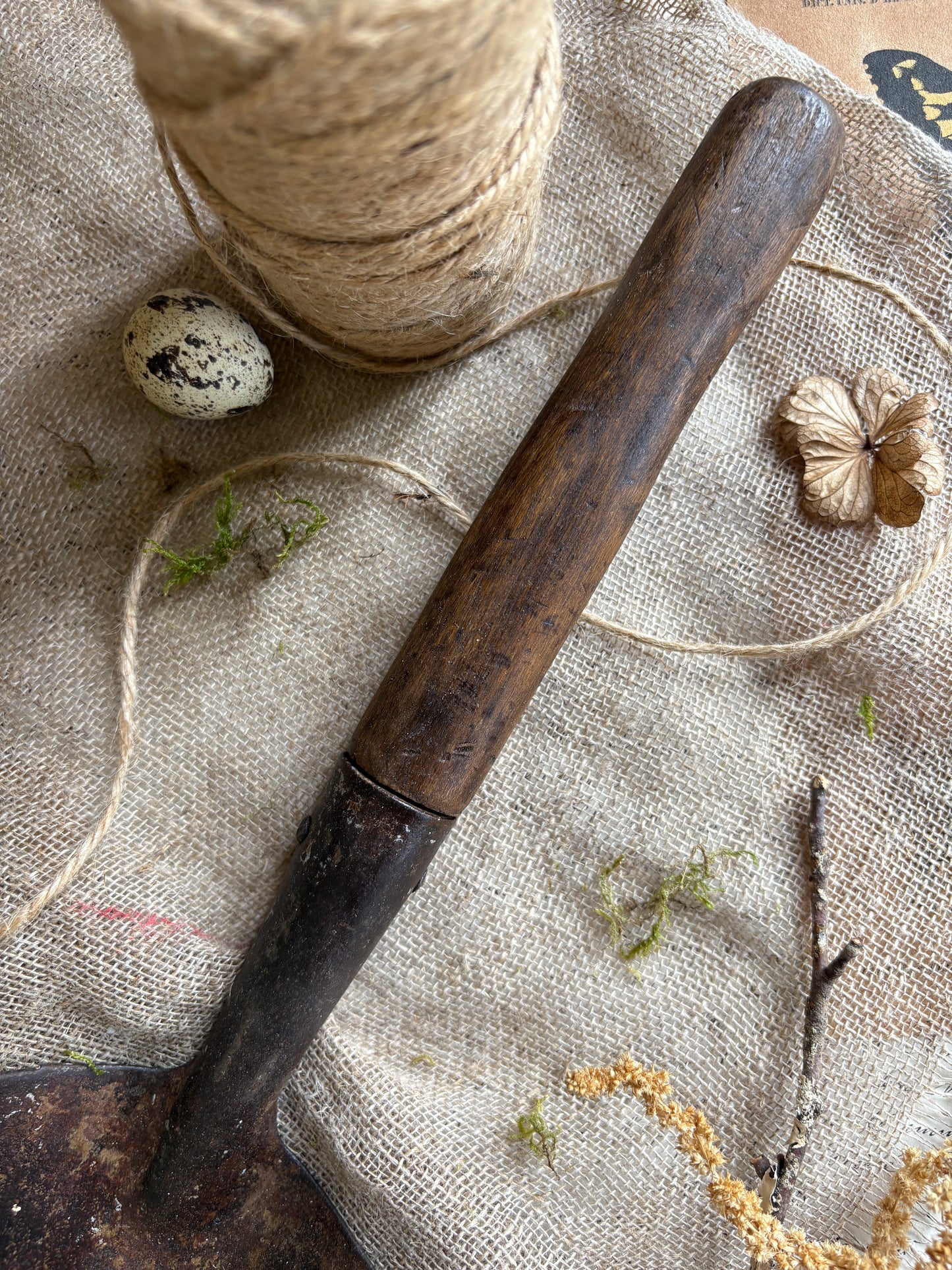 Selection Of Rustic Garden Tools