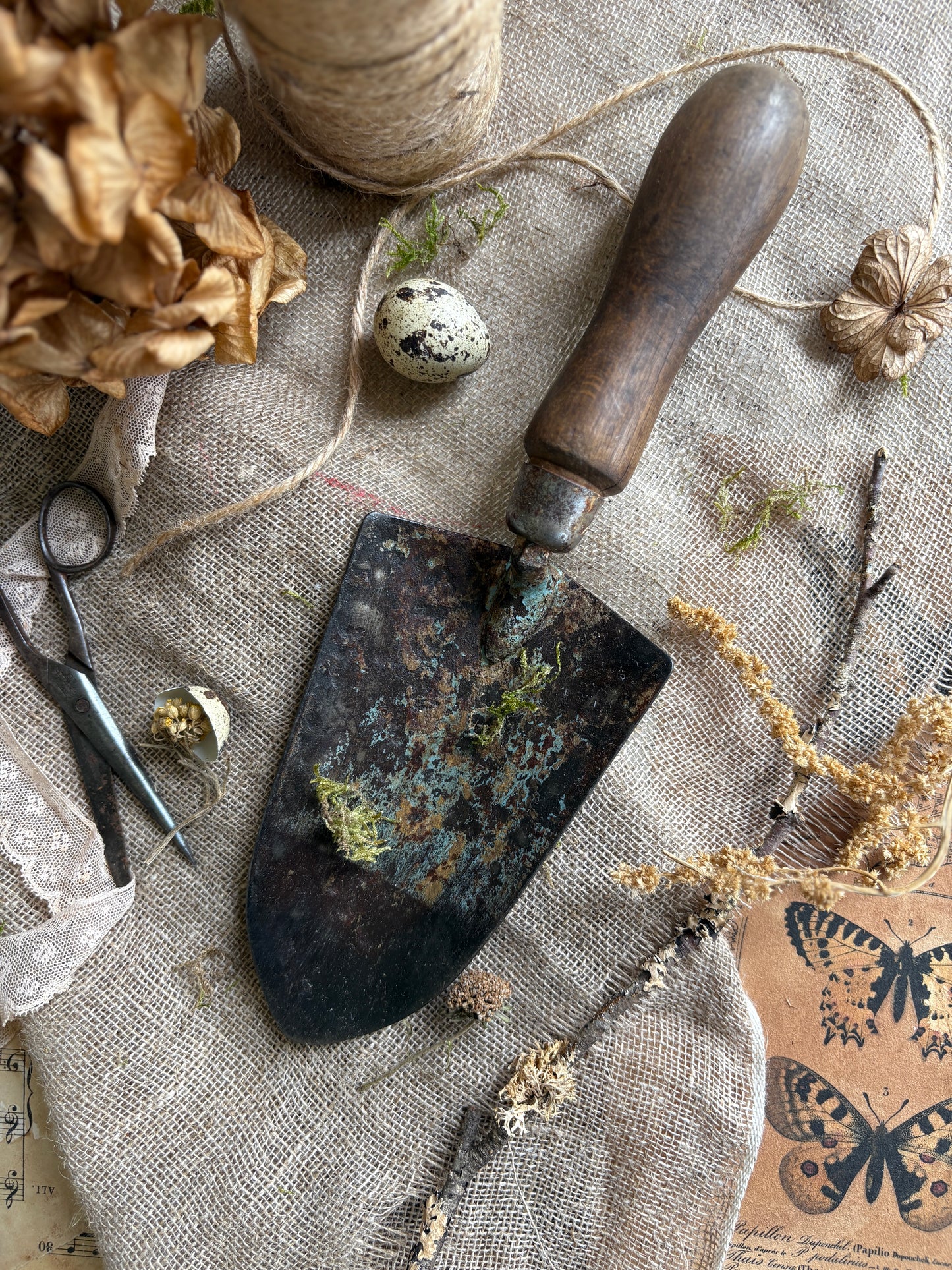 Selection Of Rustic Garden Tools