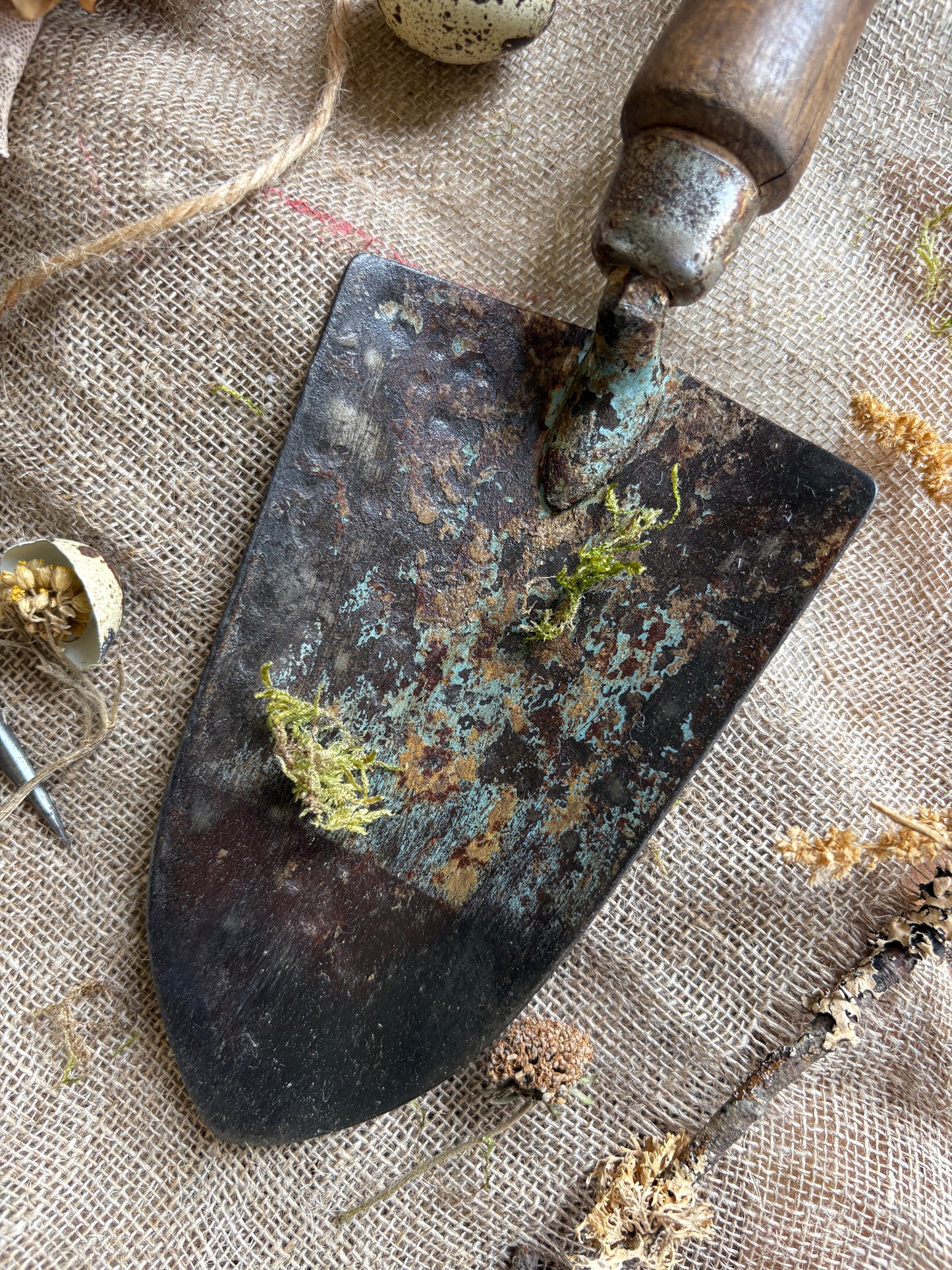 Selection Of Rustic Garden Tools