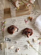 Load image into Gallery viewer, Vintage Red Fox Ceramic Salt &amp; Pepper Pots
