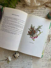 Load image into Gallery viewer, Evergreen Garden Trees and Shrubs by Anthony Huxley – Vintage Gardening Book
