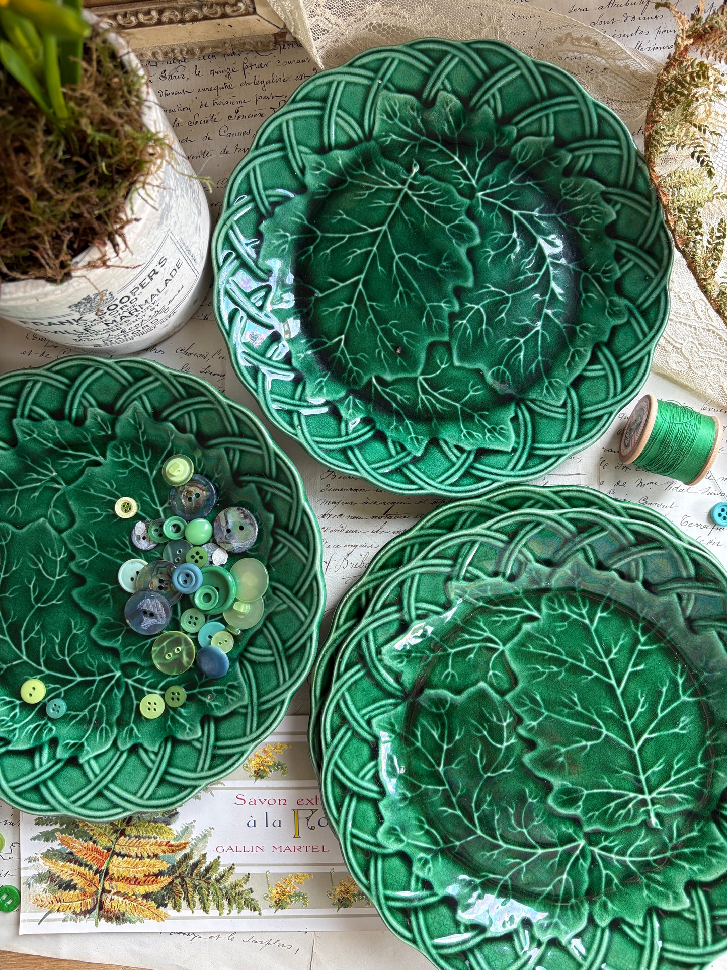 Antique Majolica Green Sunflower and Leaf Ware Plate