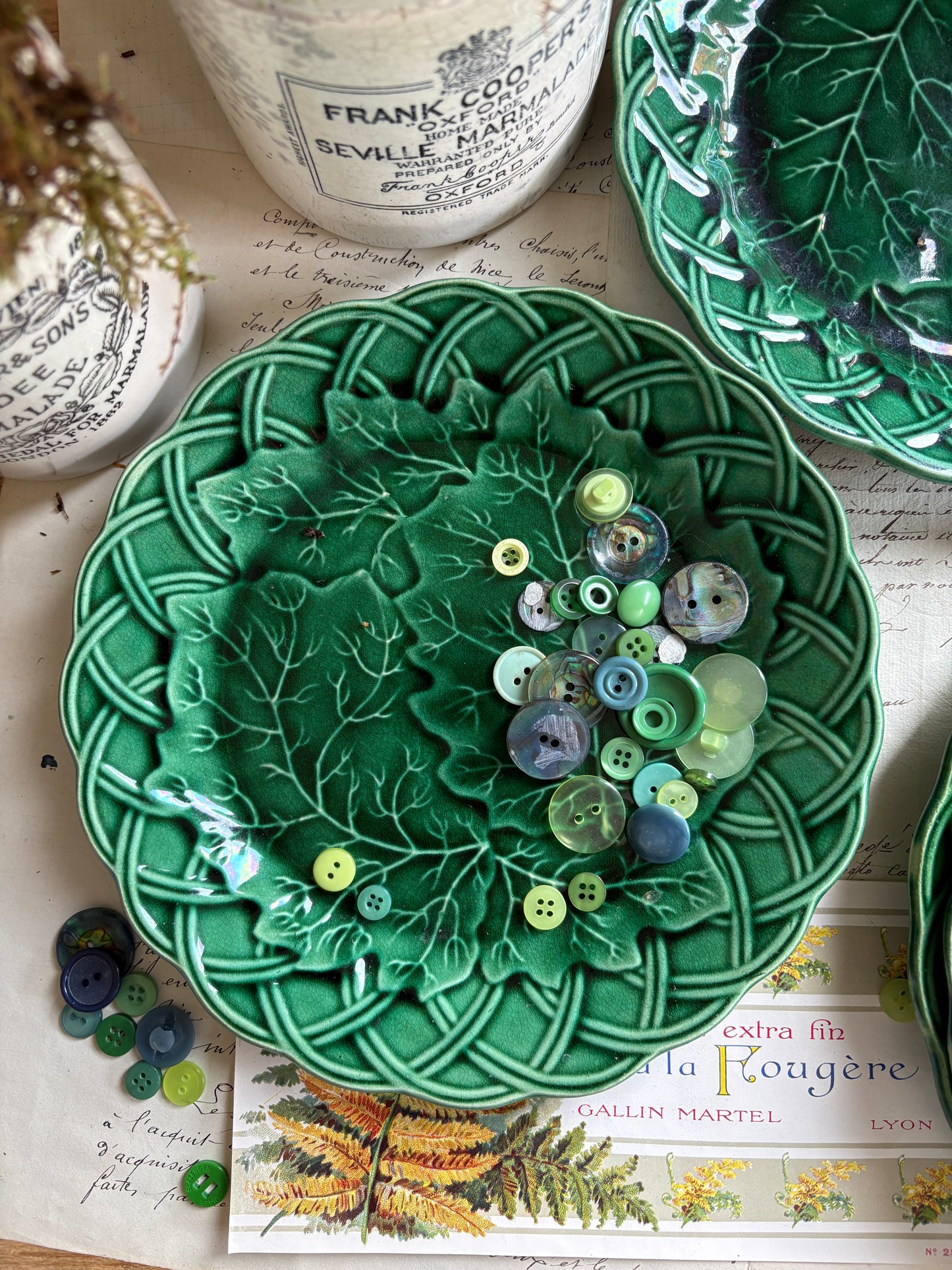 Antique Majolica Green Sunflower and Leaf Ware Plate