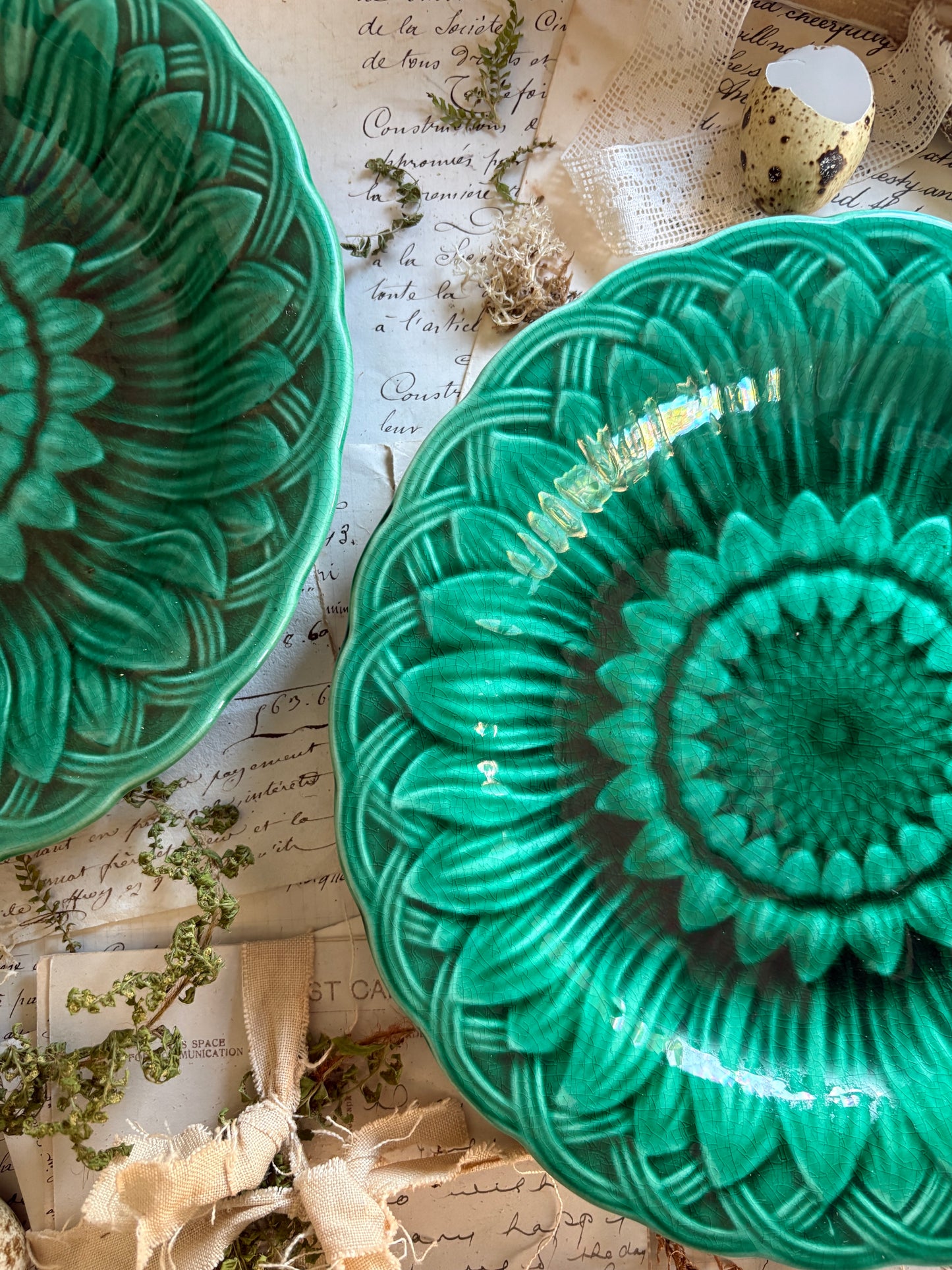 Antique Majolica Green Sunflower and Leaf Ware Plate
