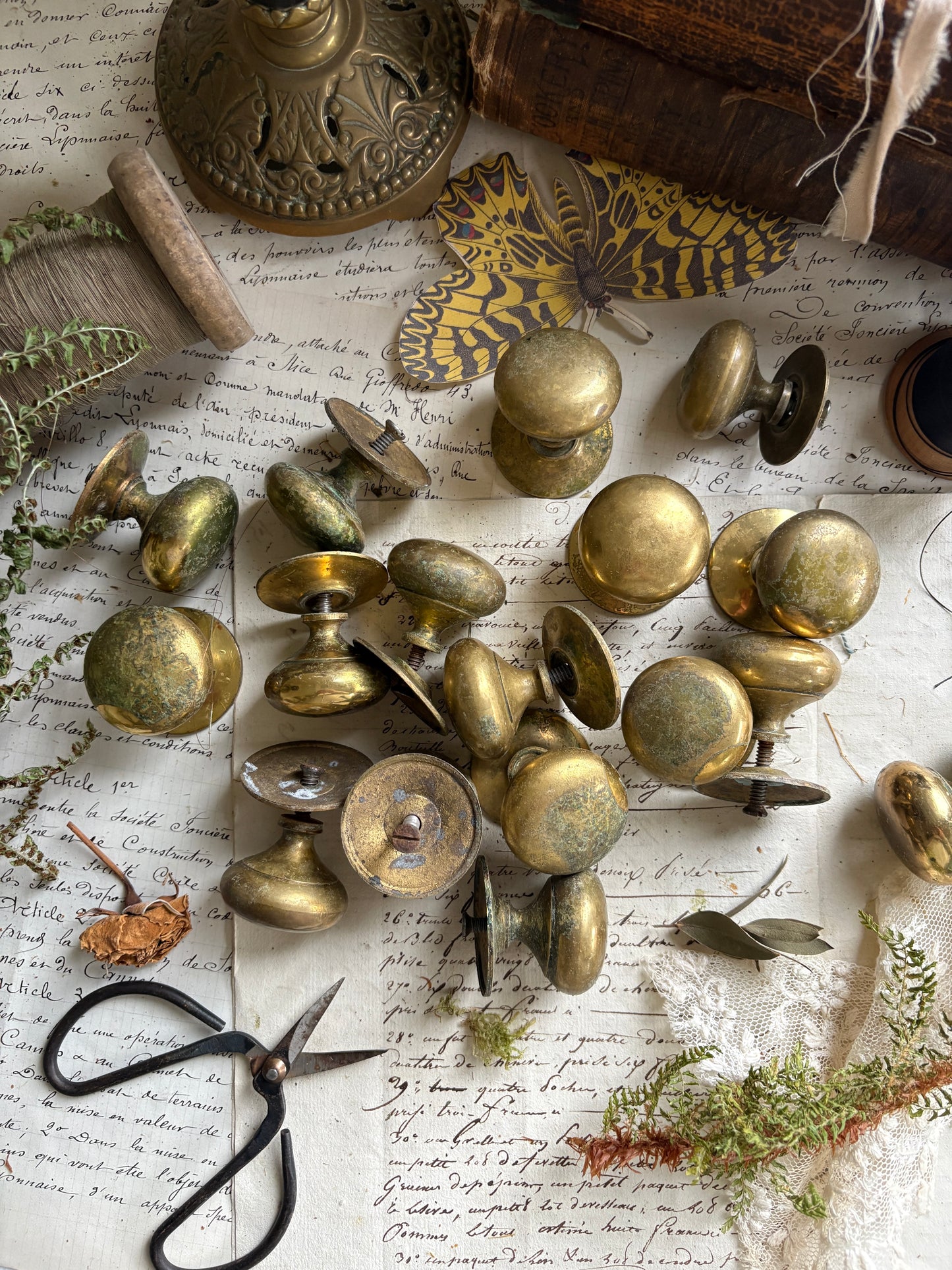 Vintage Brass Drawer Knobs with Round Back Plates