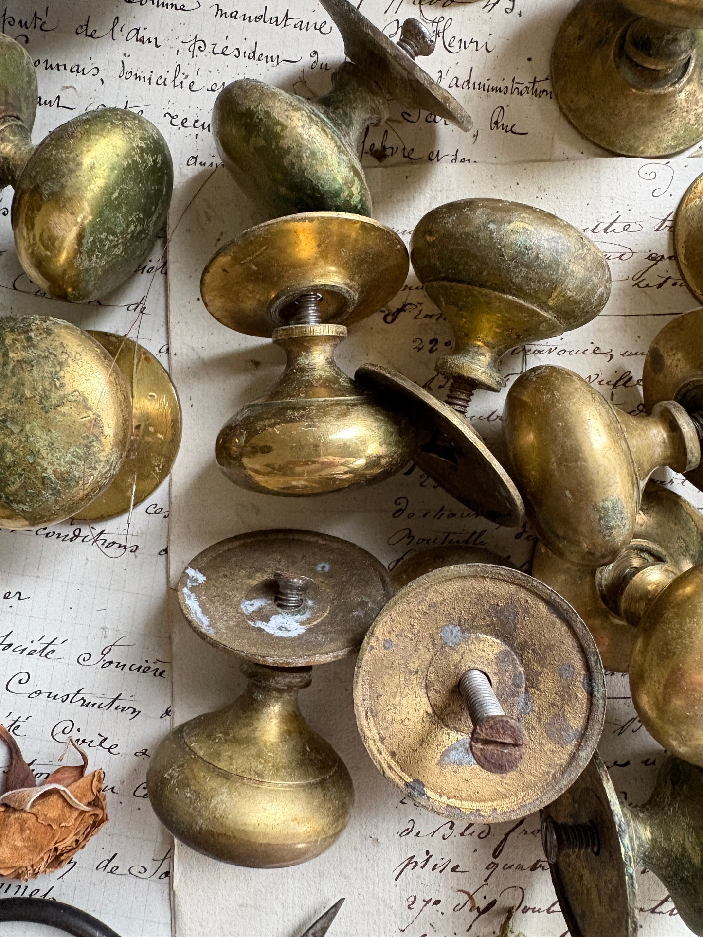 Vintage Brass Drawer Knobs with Round Back Plates